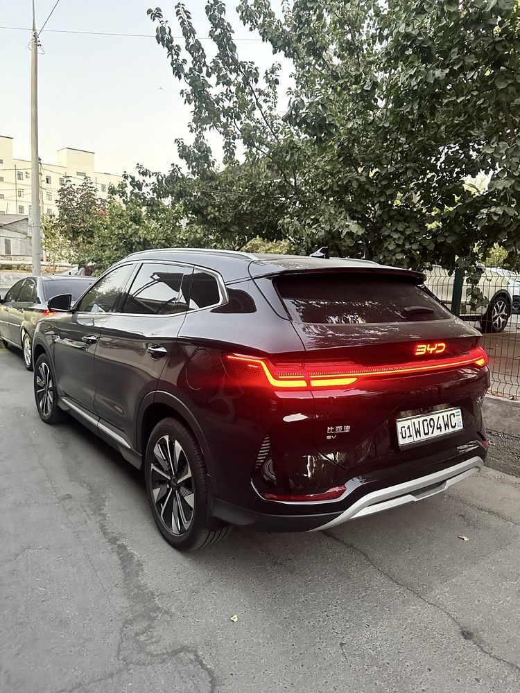 Byd chempion 605