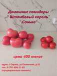 Помидоры домашние