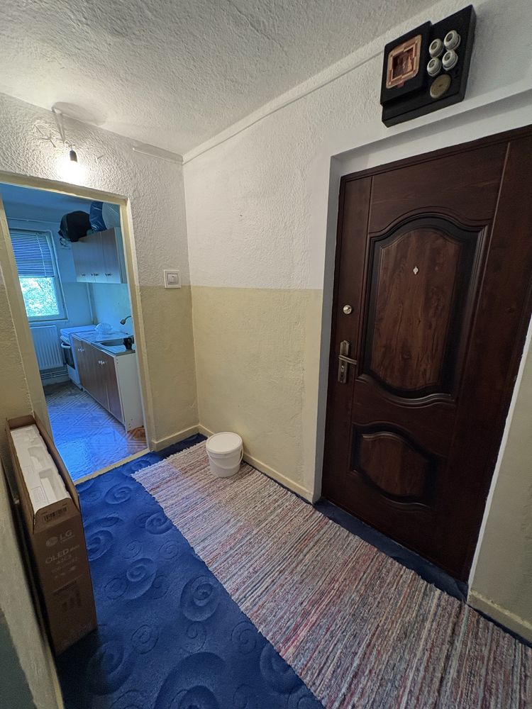 Apartament 1 camera Viziru-Radu Negru