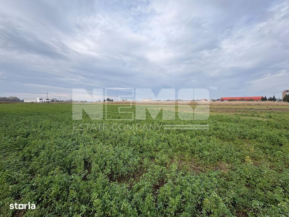 Teren de vânzare | 67 ari | Intravilan | Rădăuți