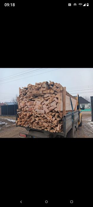 Vnd lemne de foc fag de fabrică
