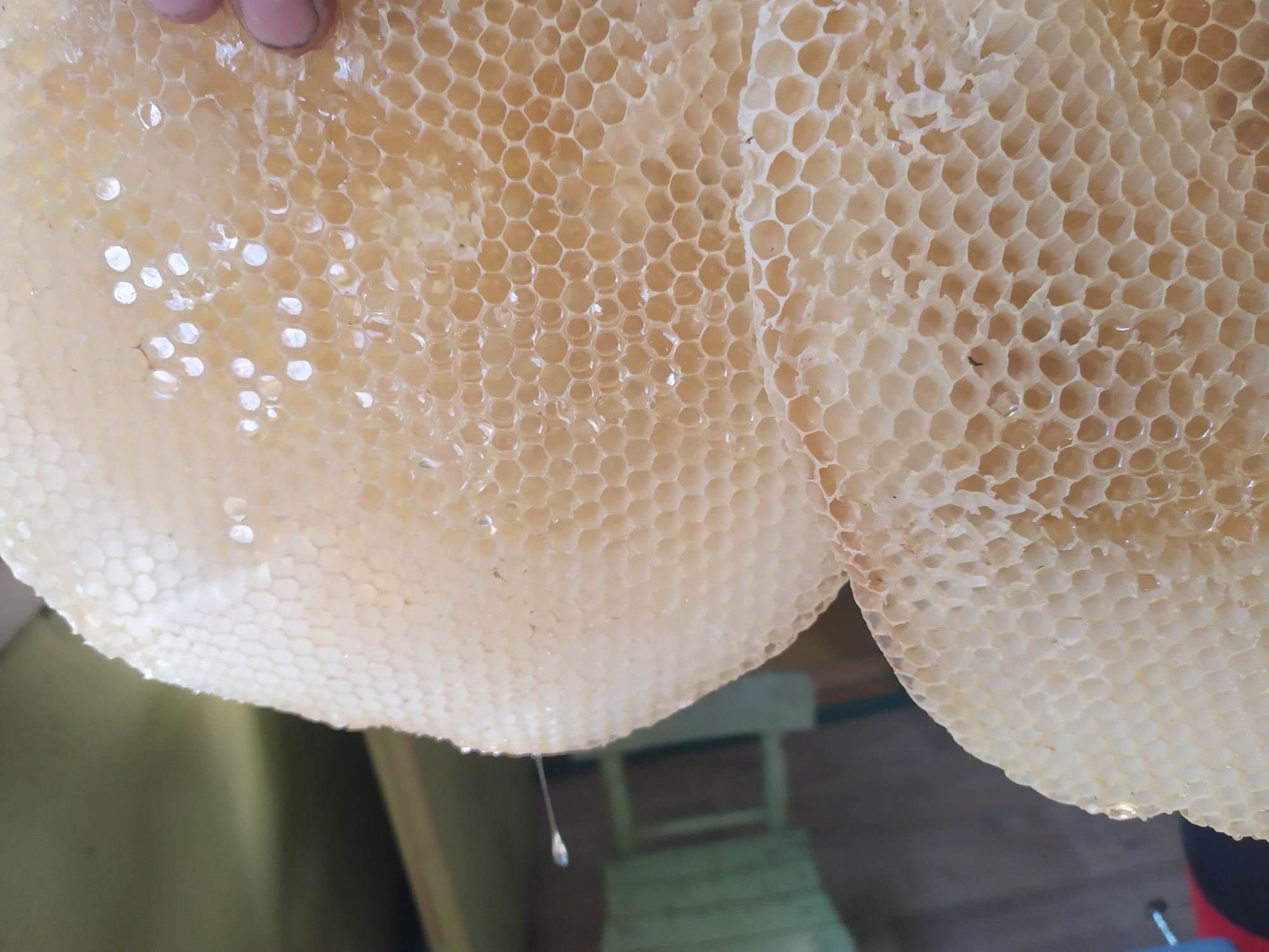 Пчелен мед букет.