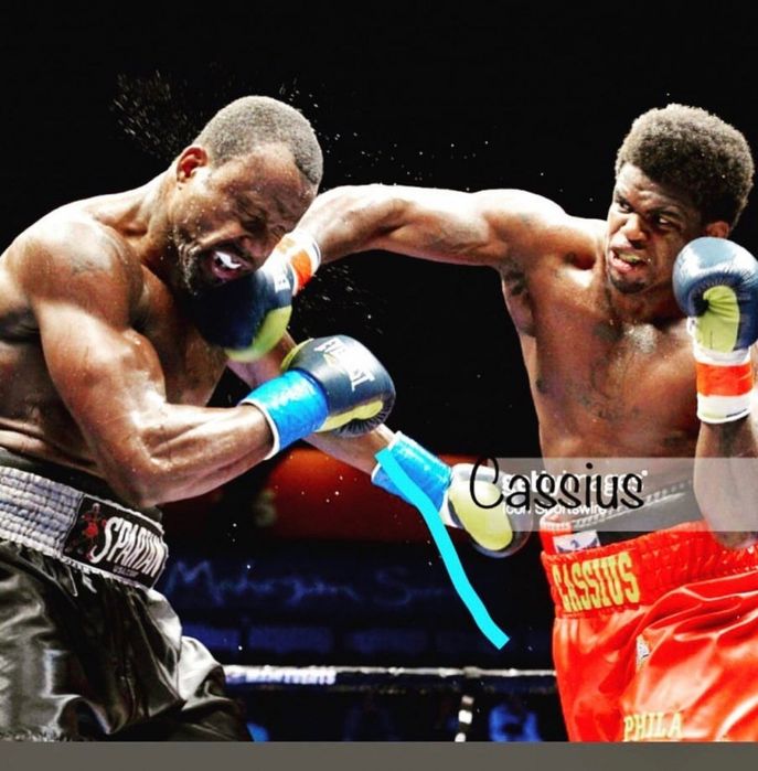 Профессиональный бокс индивидуальный или группового тренировки