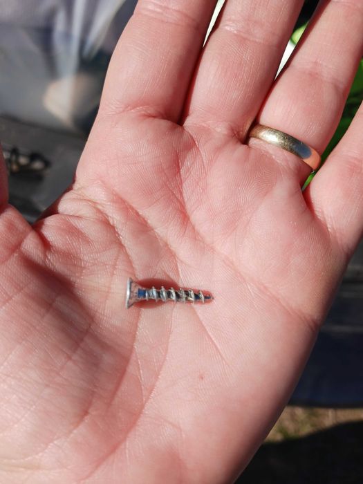 Видийки в кутия !