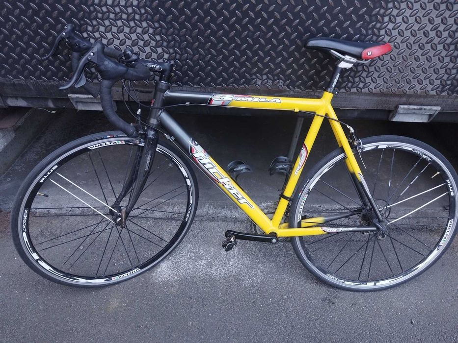 Vand cursiera 28 inch