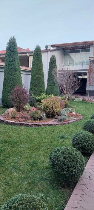 Стрижка газона и елок система полива gazon ekish rulon gazon