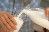 Lapte De Vaca si produse Lactate