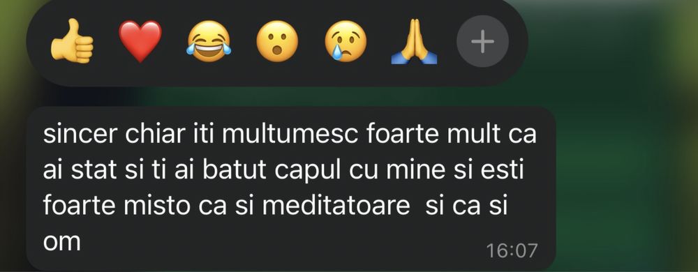 Meditatii limba si literatura romana