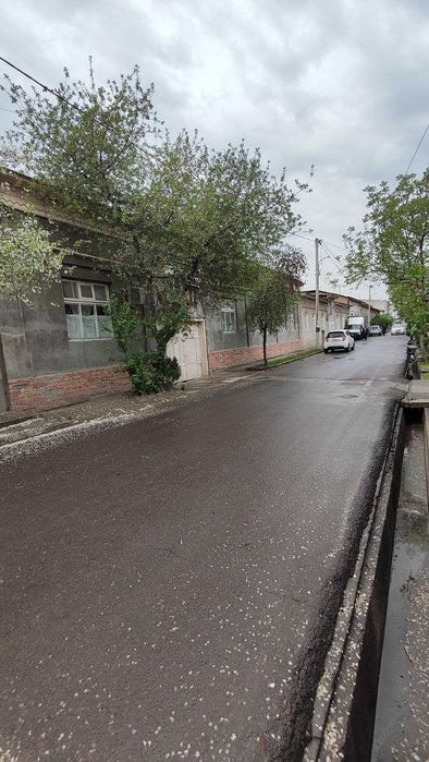 Tez hovli sotiladi Beshqayrag`ochda 6 sotix