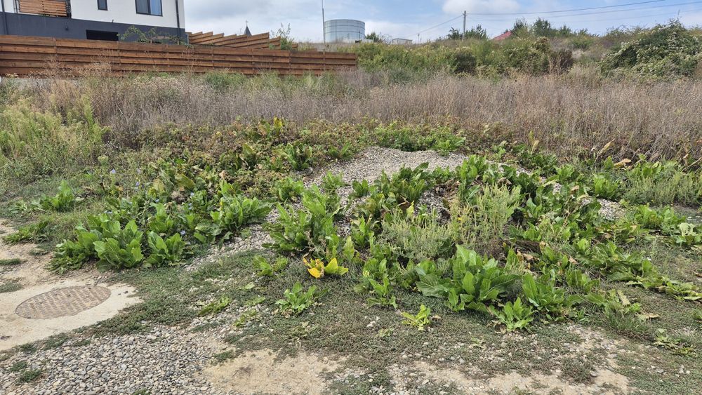 Teren Hlincea / 418 mp