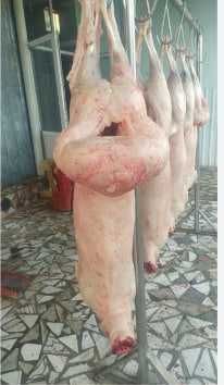 Қўй гўшти ширвоз