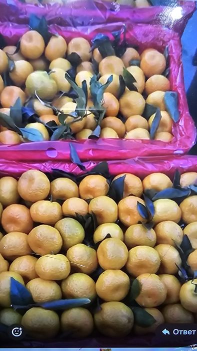 Мандарины Китайский