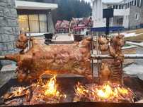 Protap rotisor animale - vitel purcei miei nunti botezuri evenimente