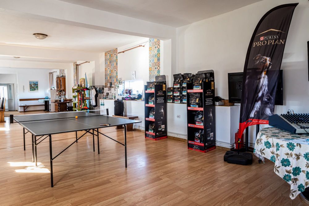 Cabană Revelion Tara Fagarasului