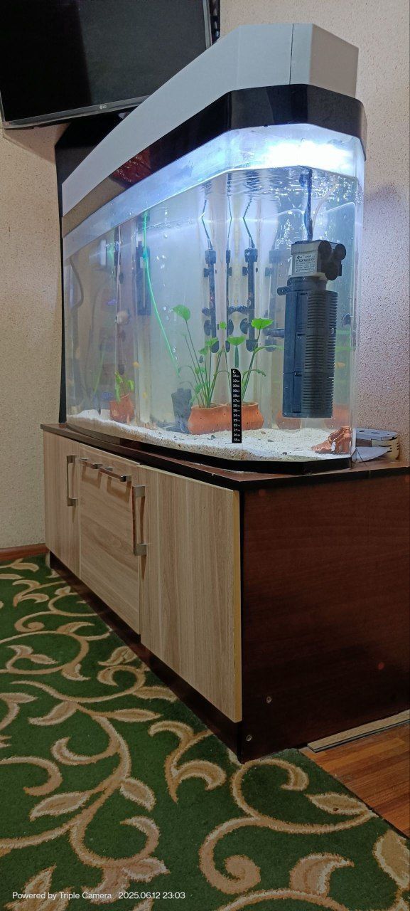 Akvarium Akril Xitoy quyma 300 yaqin srochniy sotiladi+Bonus