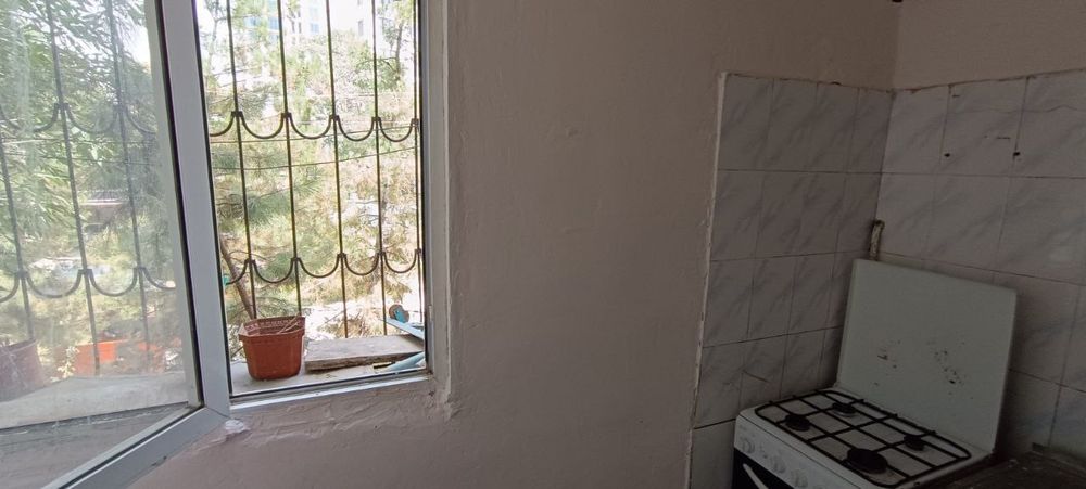 Аренда буз базар 1/2/4 200