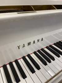 Pian concert  Yamaha