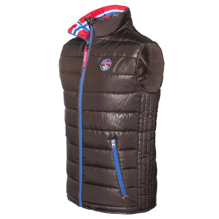 Vesta Barbat Nebulus Glossar Germania pentru cunoscatori 50% din pret.