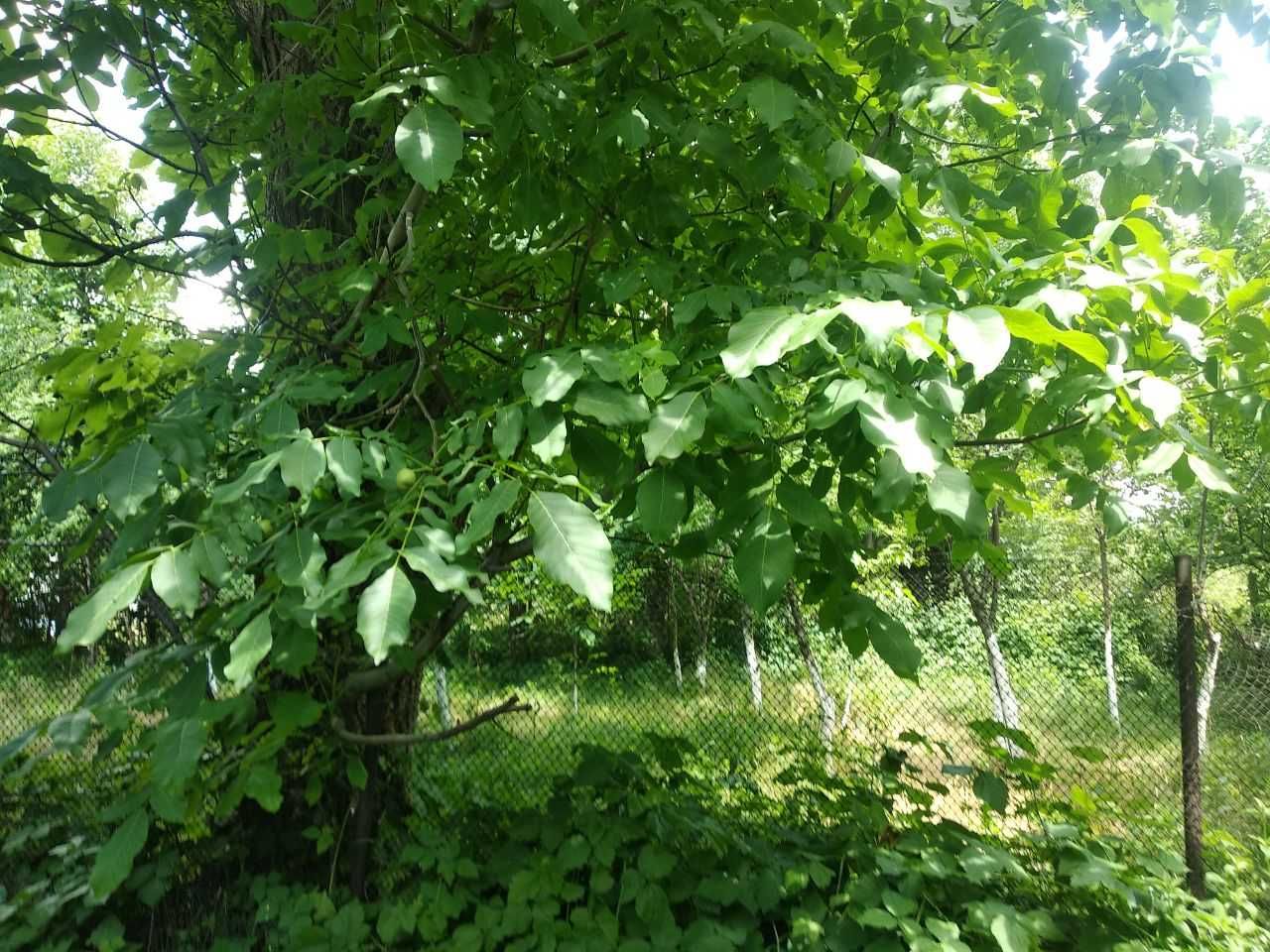 Продаётся Дом на участке 22 сотки
