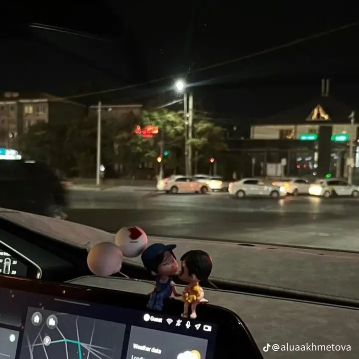 Квартираға бір қыз аламын шымкент.