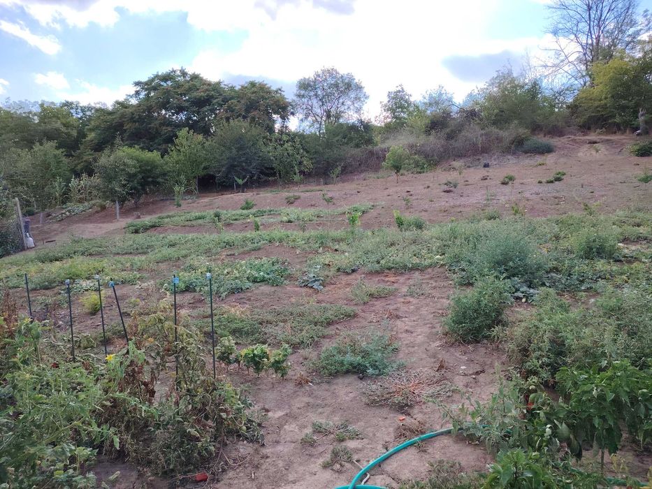 Продава се Парцел в с. Ситово, Област Силистра - 2300 кв.м за 4 €/кв.м - Снимка #3