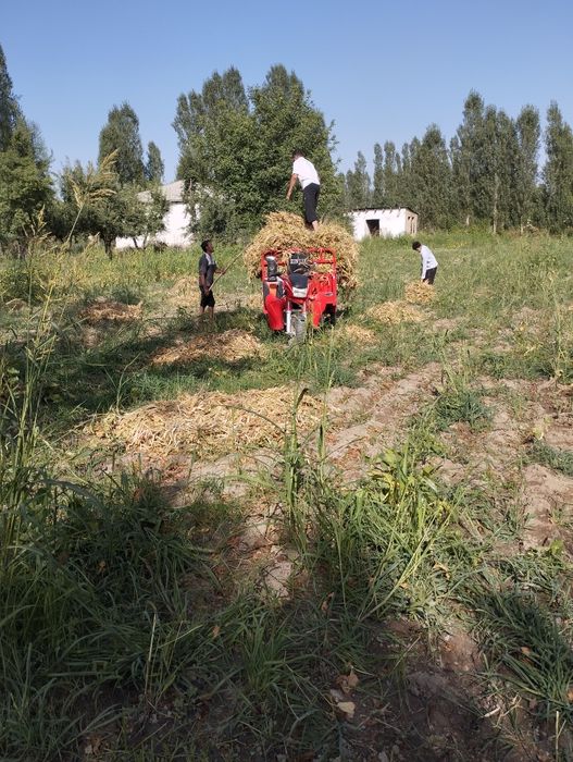 Муравей 250 матор