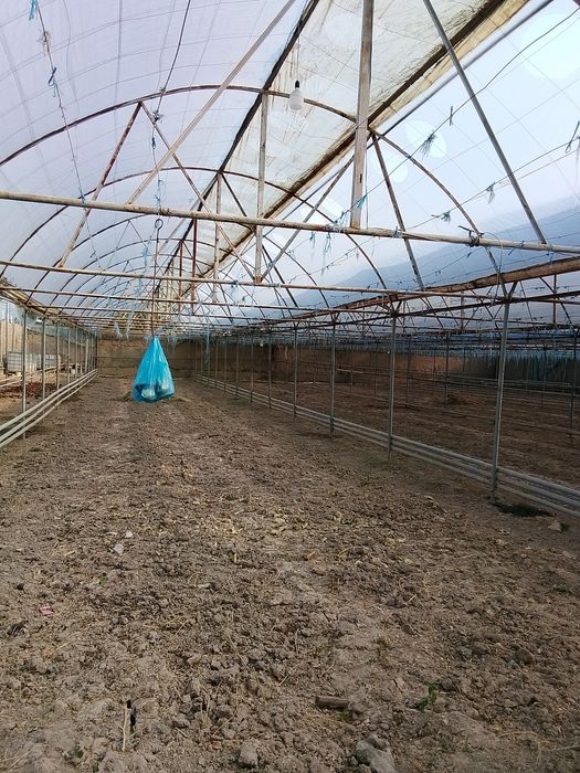 Теплица сотилади теплица сотилади теплица сотилади теплица сотилади