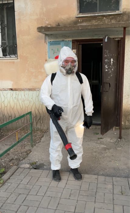 Дератизация Дезинфекция Талдыкорган тараканы клопы мыши крысы