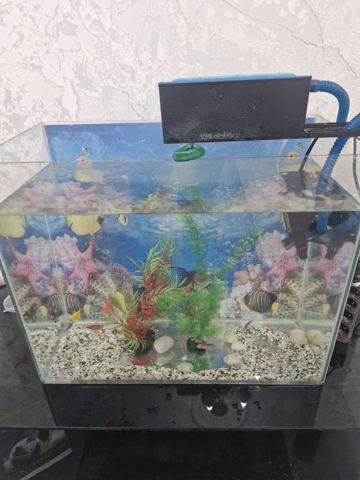 Продам аквариум с рыбками