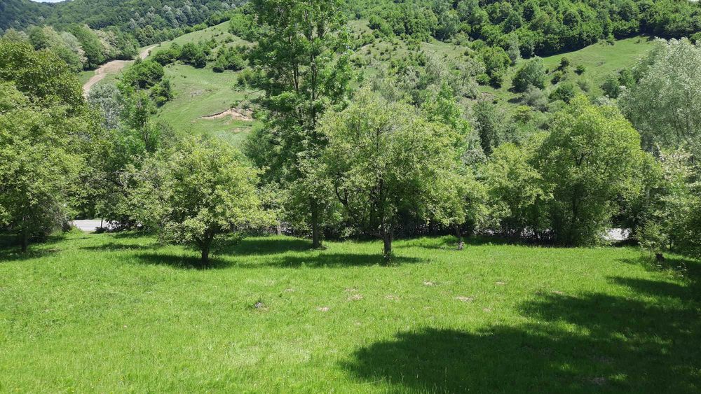 teren Provita de Sus