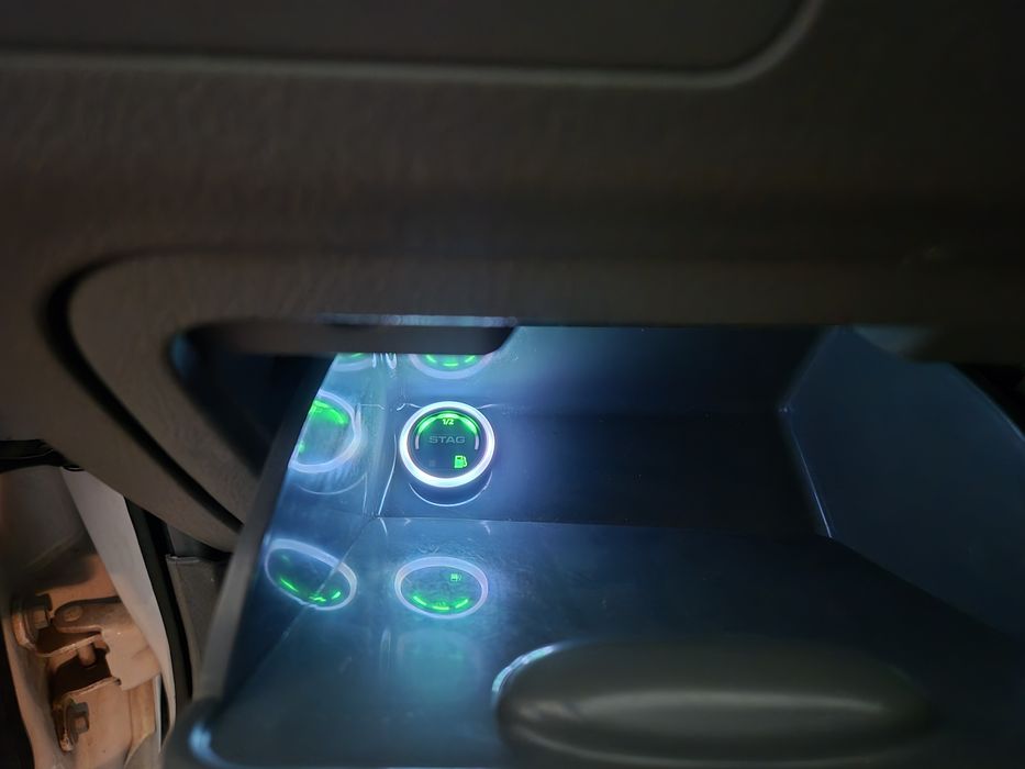 Жентра элегант плюс. Идеал.