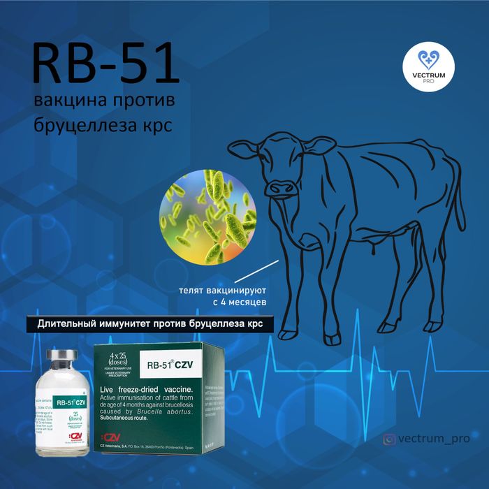 RB-51 вакцина против бруцеллеза крс