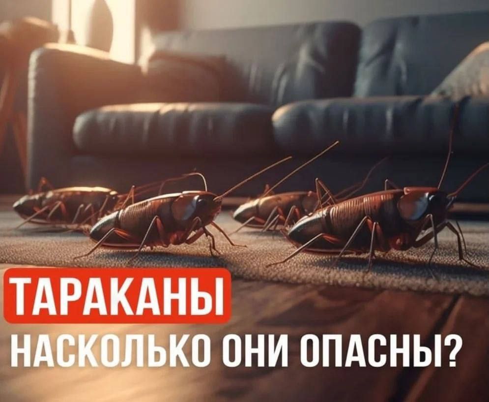 Dezinfeksya kilapa