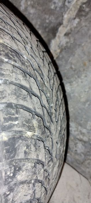 anvelopa  iarna nokian snowproof 195/50 R15
