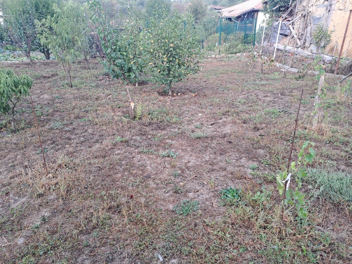 Продава се Къща в Търговище, Калково - 120 кв.м за 383 €/кв.м - Снимка #4