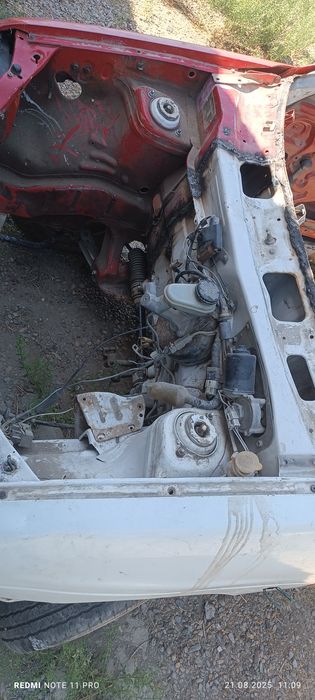 Tiko sotiladi xujjatlari ham bor
