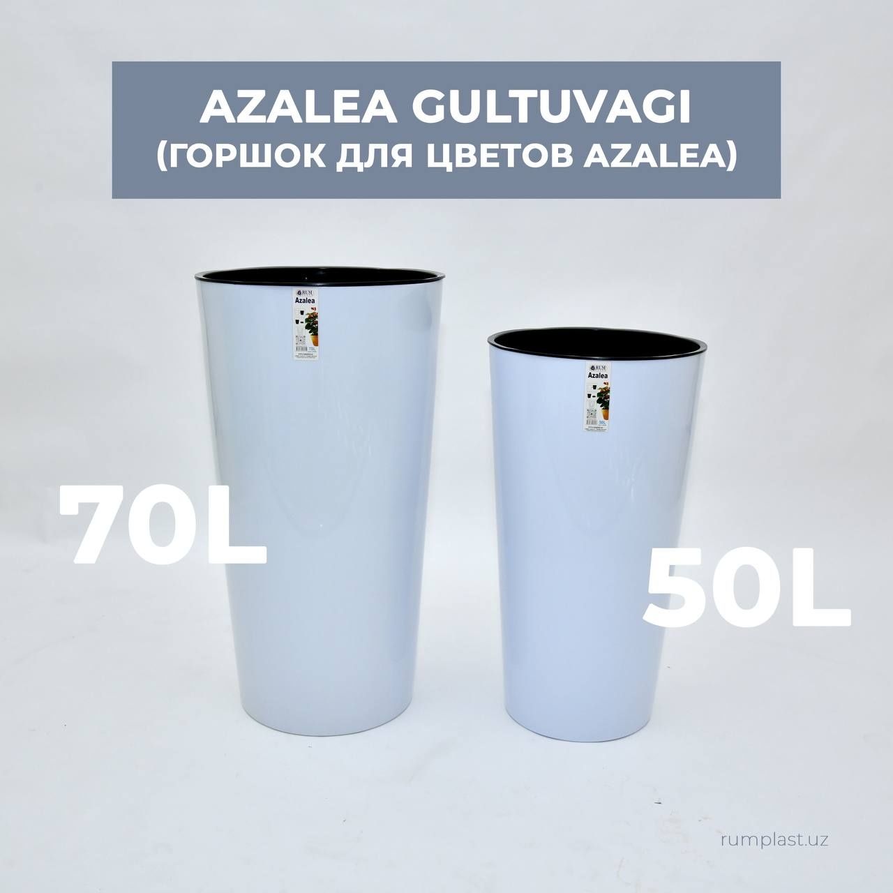 Gul Tuve tuvak garshok azalea Гул тувак горшки цветы гаршок доставка б