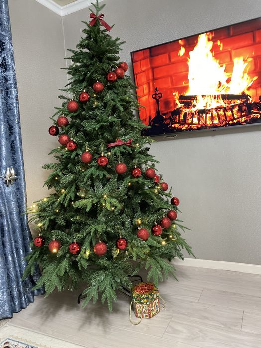 Лесная елка/Орман шыршасы / 2.10