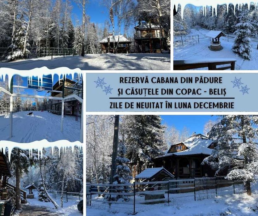 Rezerva weekend Cabana din Padure & Casuta din Copac – Belis