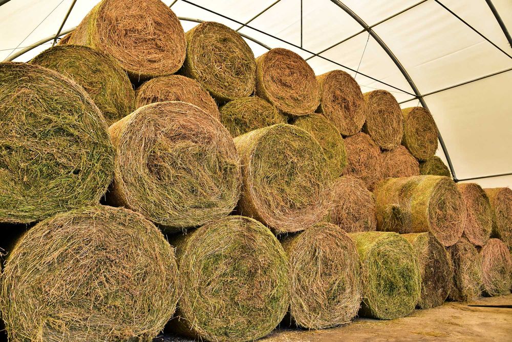 Cort industrial semirotund pentru agricultură, depozitare baloti