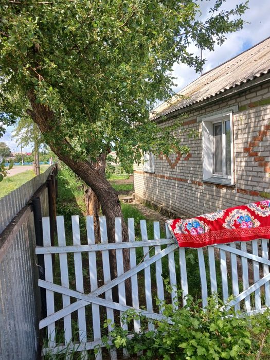 Продам дом в селе Новокаменка, санузел дома.