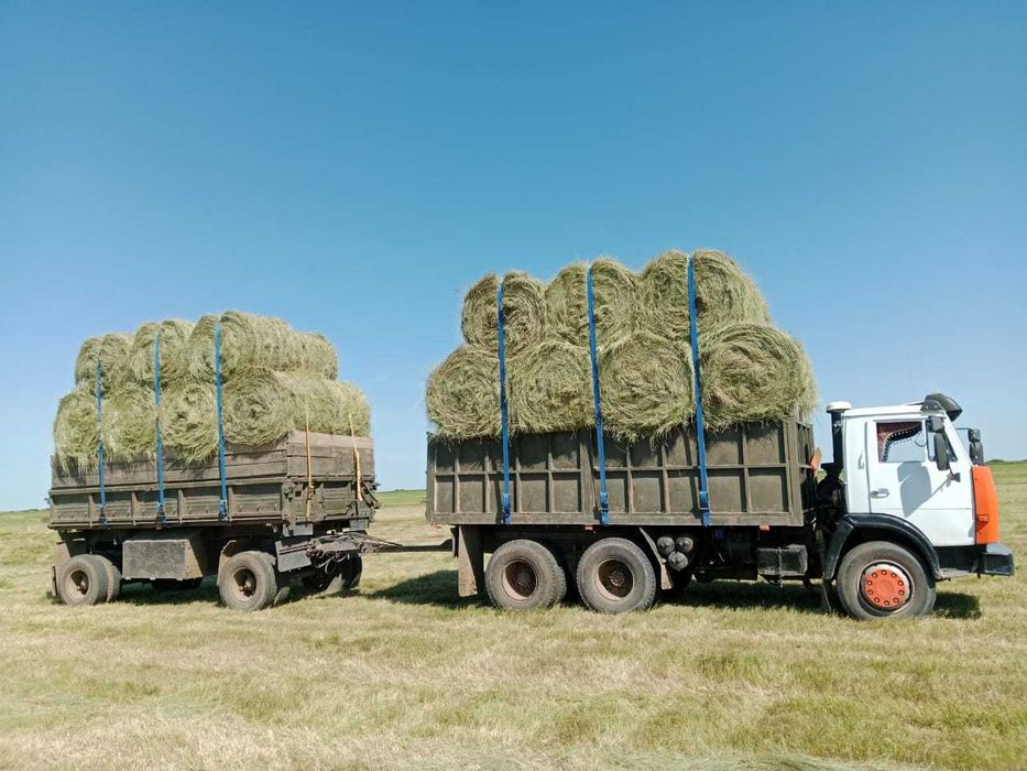 Сено разнотравье