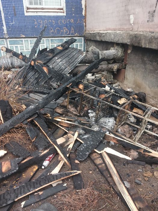 Отдам даром на дрова