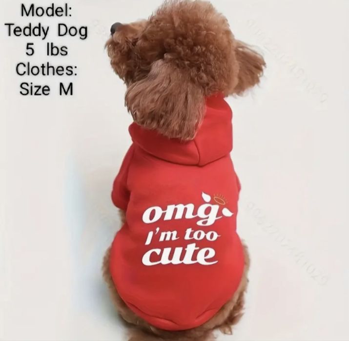 Модерни дрехи за кучета: Суичъри (Худита) с надписи, Пуловер (S, M)