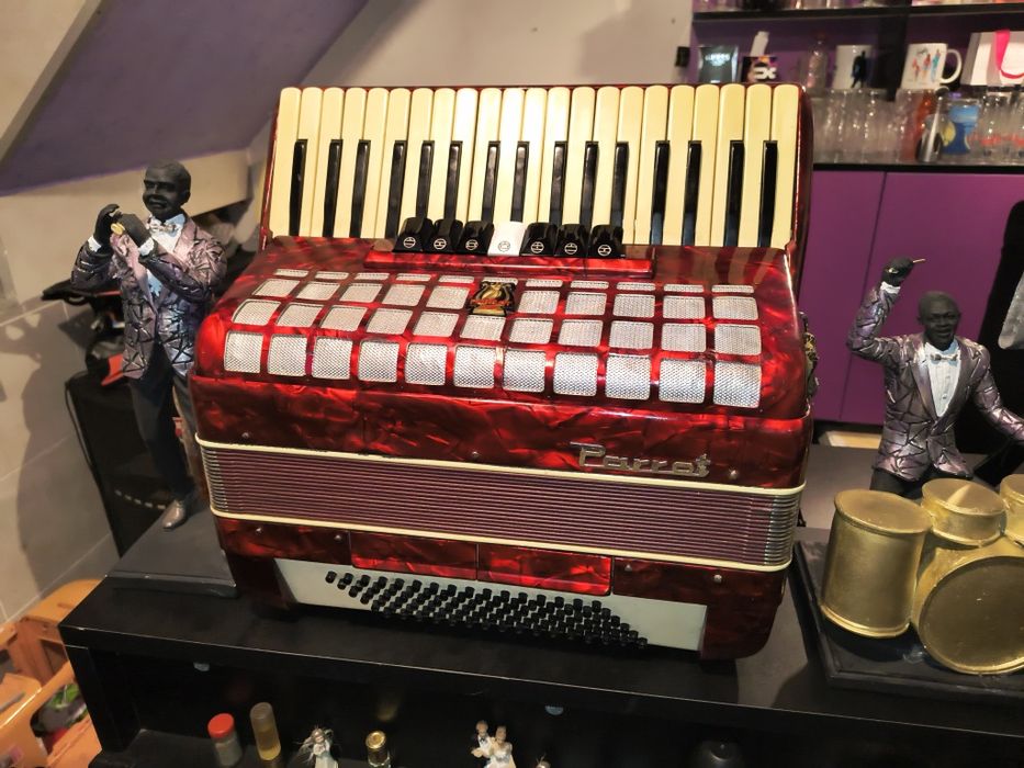 Acordeon cu 96 basi Parot , cu 7 registre , in stare buna