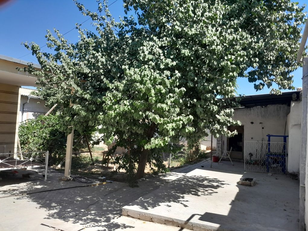 Hovli joy Urganch shahrinda