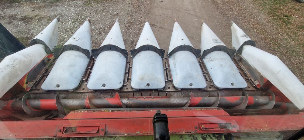 Masa de porumb header porumb oros