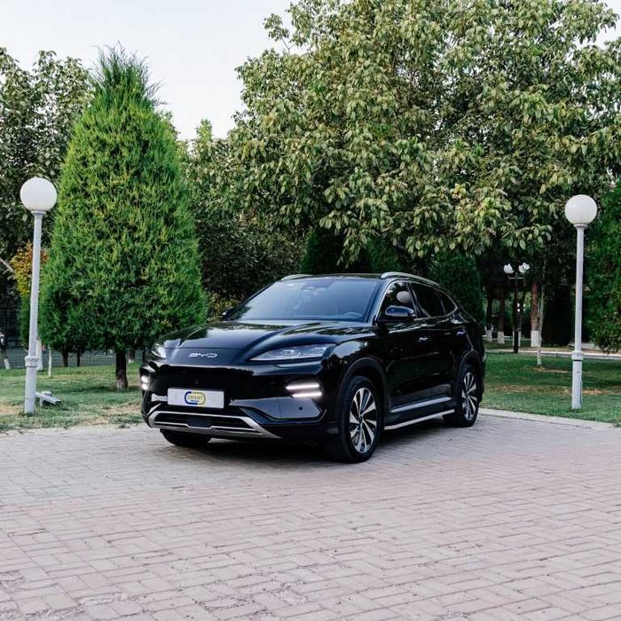 BYD Song Plus Champion