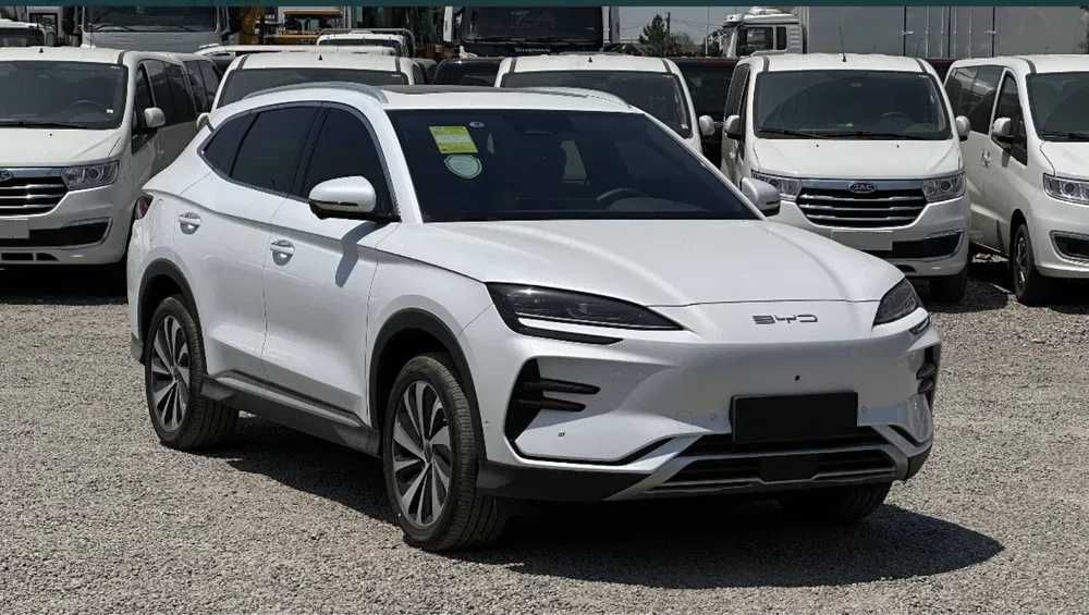 BYD Champion Smart 605 km