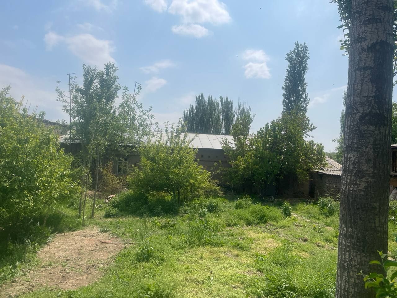 Parkent tumanida 5 sotih yer sotiladi